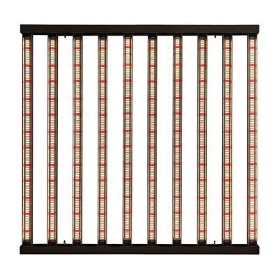 1200W 10Bars सैमसंग LM301H हॉर्टिकल्चर एलईडी ग्रो लाइट इंडोर ग्रोइंग